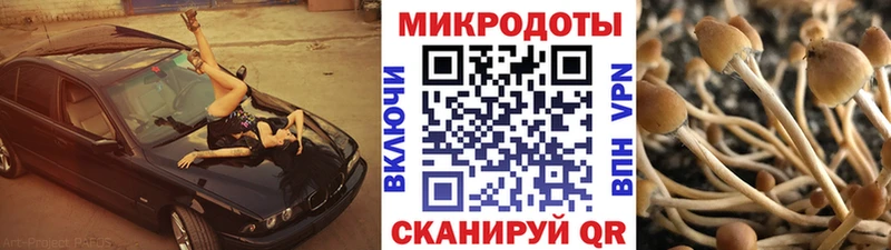 Псилоцибиновые грибы мицелий  Купить  Ставрополь 