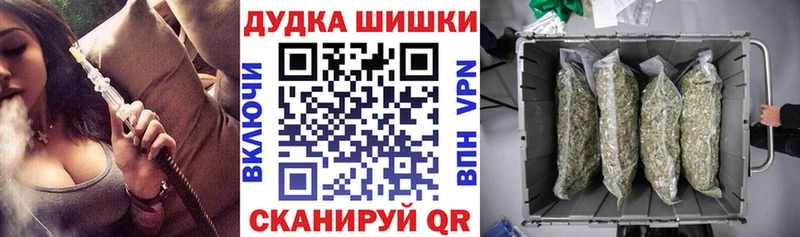 Купить где  Ставрополь  Шишки марихуана SATIVA & INDICA 